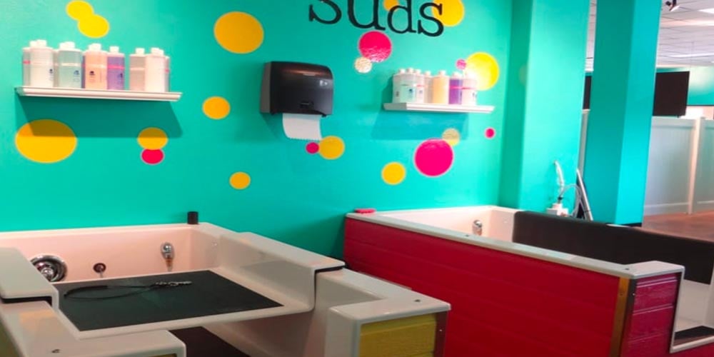 Hot Diggity Dog Daycare