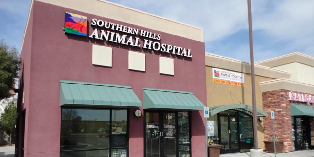 Southern Hills Animal Hospital