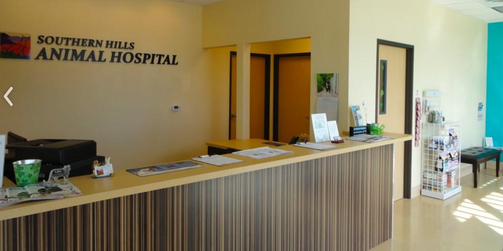 Southern Hills Animal Hospital