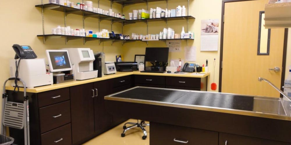 Southern Hills Animal Hospital