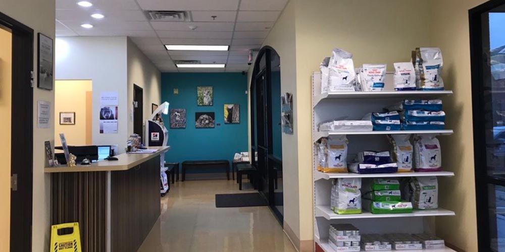 Southern Hills Animal Hospital